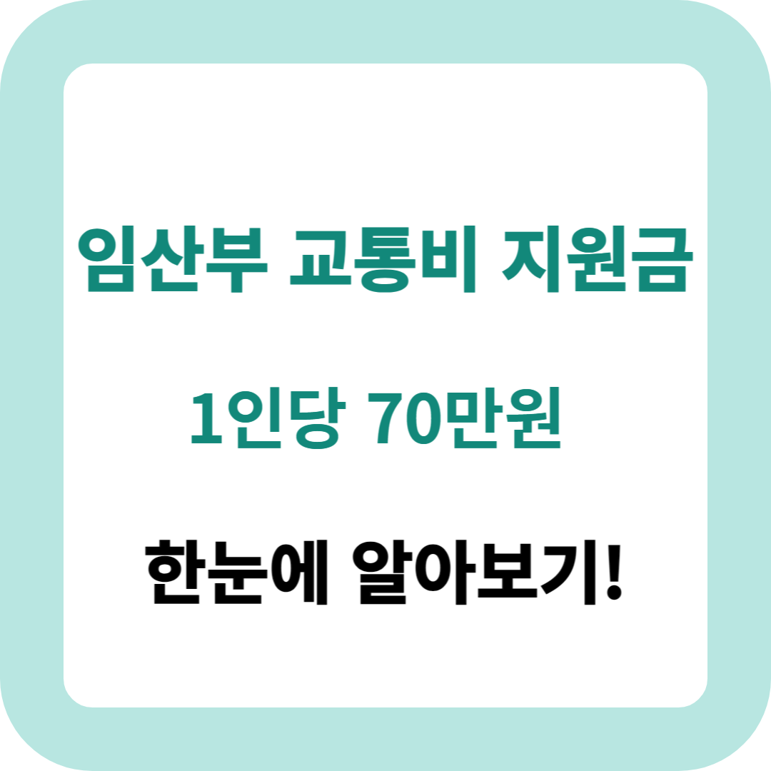 서울시 임산부 교통비 지원금에 대한 정보 입니다.